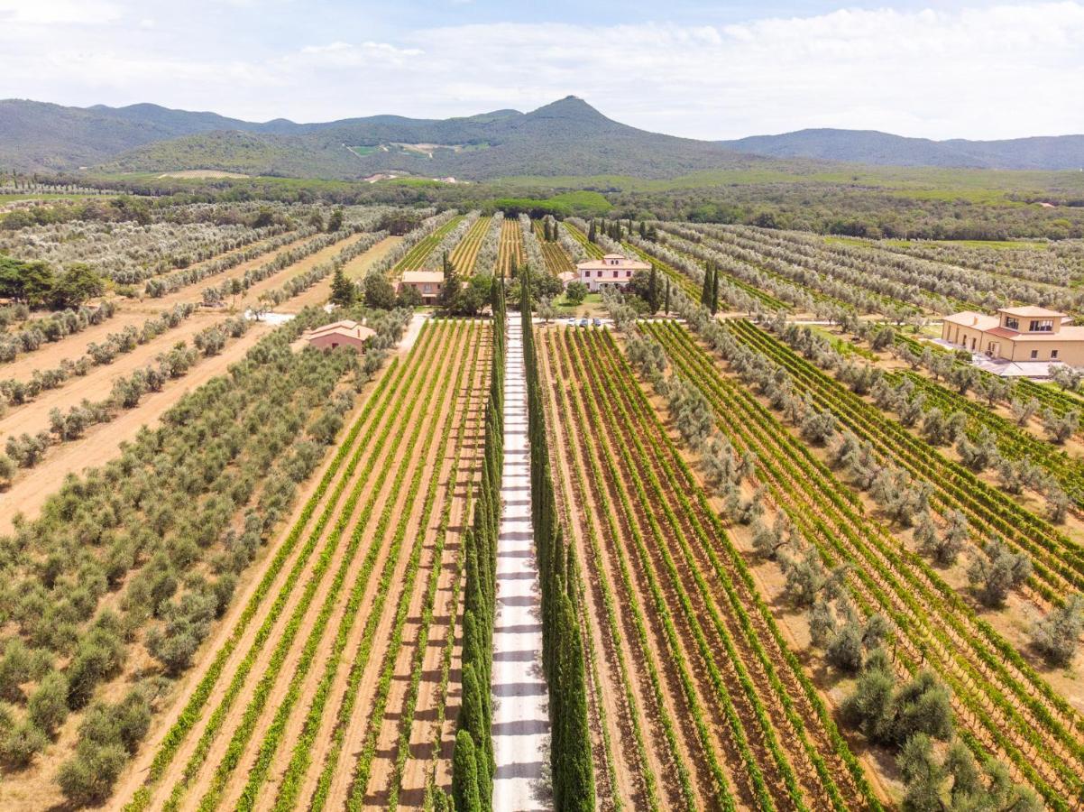 Agriturismo Tra Gli Ulivi, Chiappini Winery Bolgheri Exterior foto