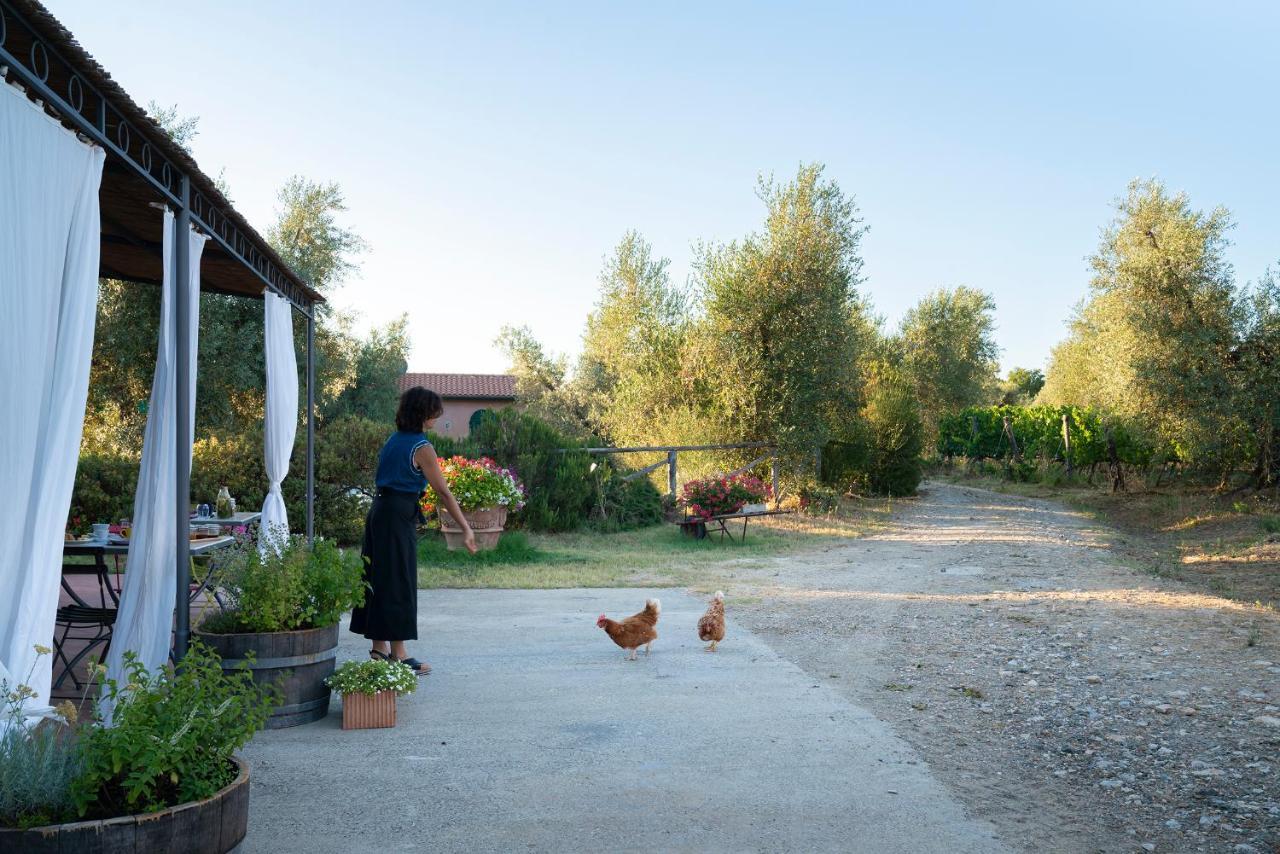 Agriturismo Tra Gli Ulivi, Chiappini Winery Bolgheri Exterior foto