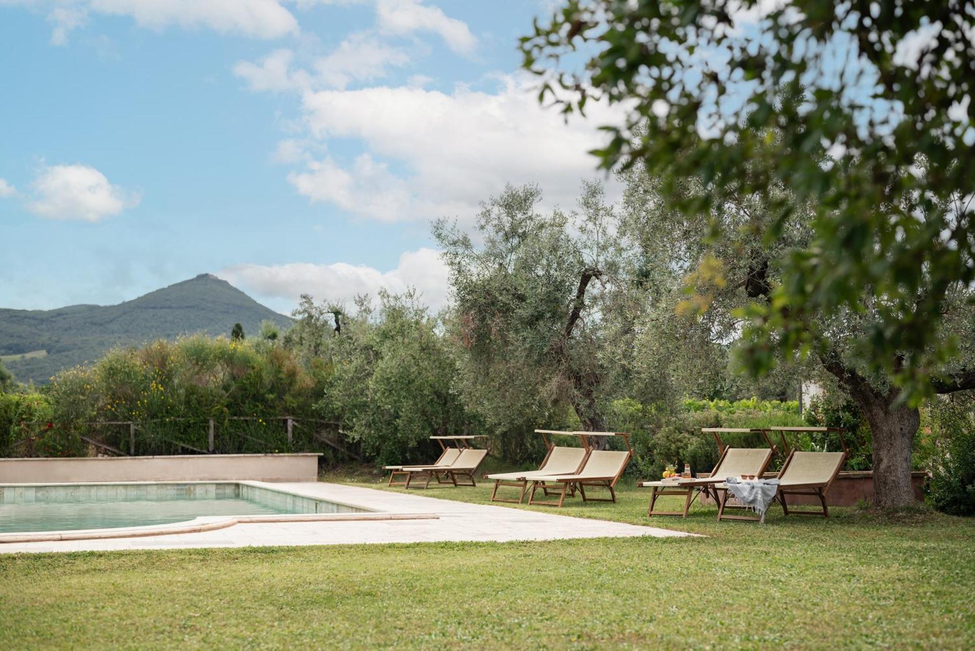 Agriturismo Tra Gli Ulivi, Chiappini Winery Bolgheri Exterior foto