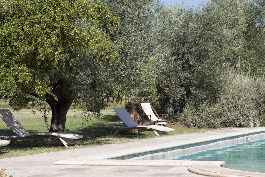 Agriturismo Tra Gli Ulivi, Chiappini Winery Bolgheri Exterior foto