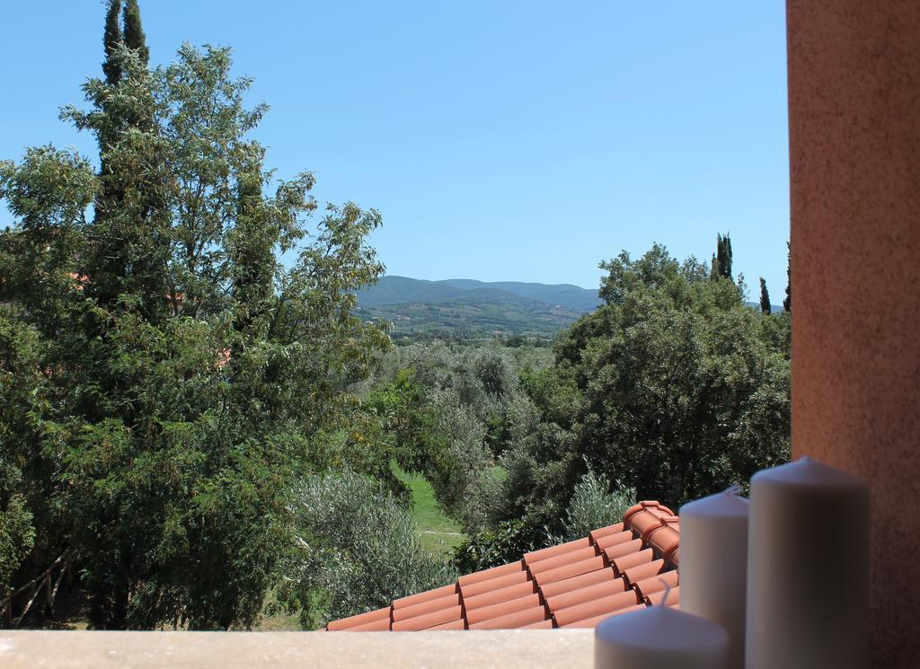 Agriturismo Tra Gli Ulivi, Chiappini Winery Bolgheri Exterior foto